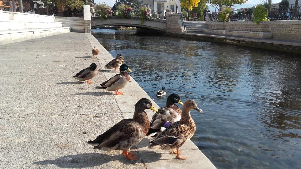 شقة Sweet Provence Bis LʼIsle-sur-la-Sorgue المظهر الخارجي الصورة